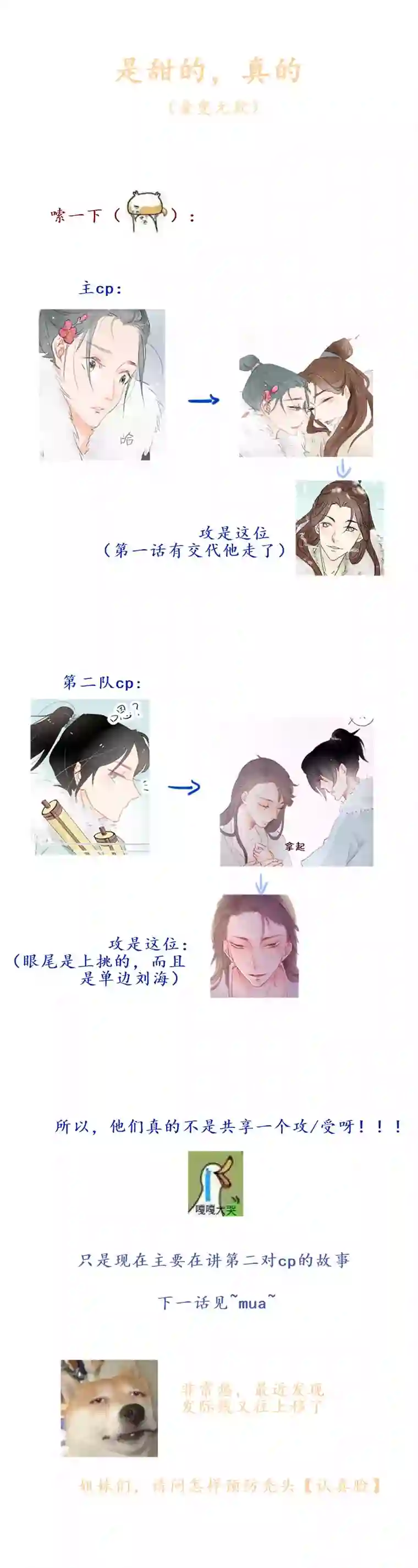 出城05：白日菊