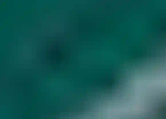 古见同学有交流障碍症第229话