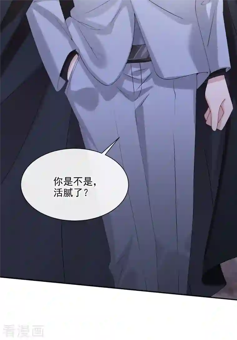 我的萌宝是僚机第6话 好戏开场