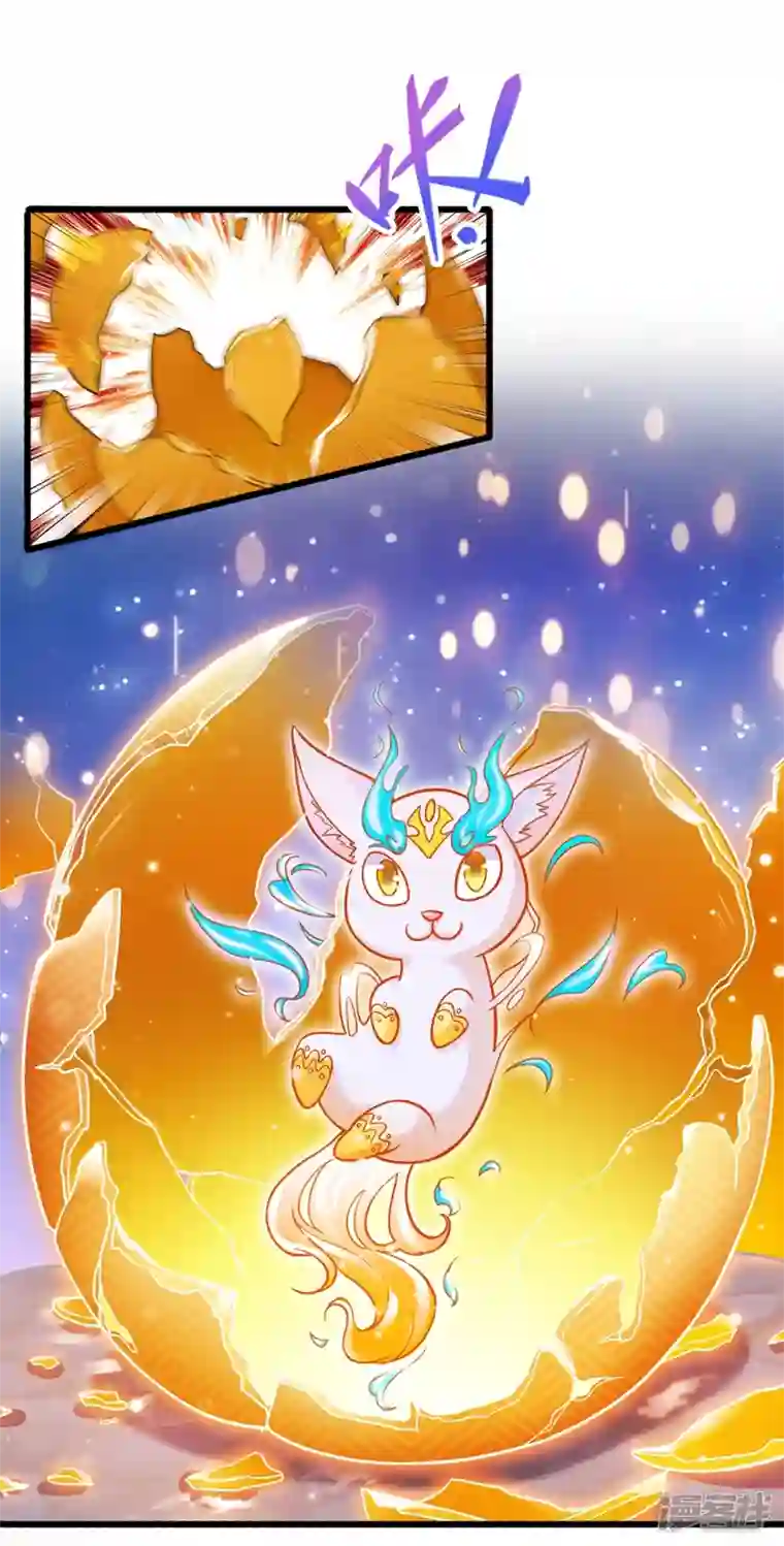 灵剑尊第422话 灵兽卵里孵出小奶猫