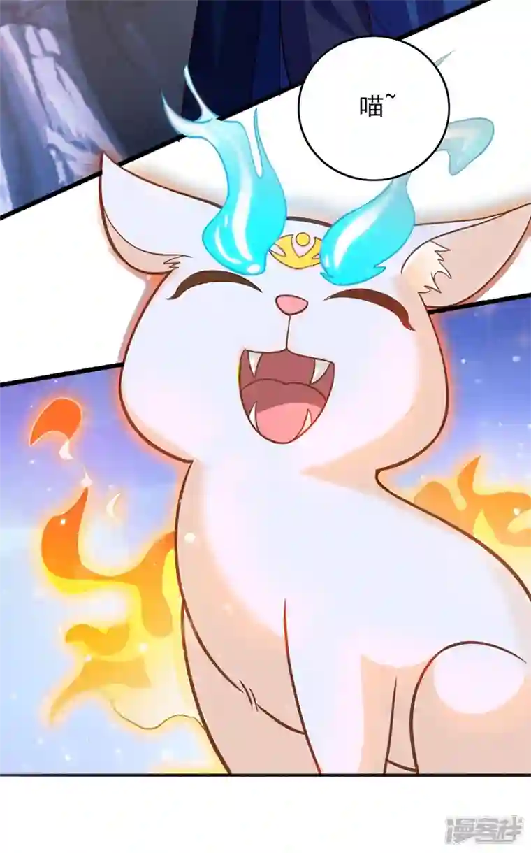 灵剑尊第422话 灵兽卵里孵出小奶猫