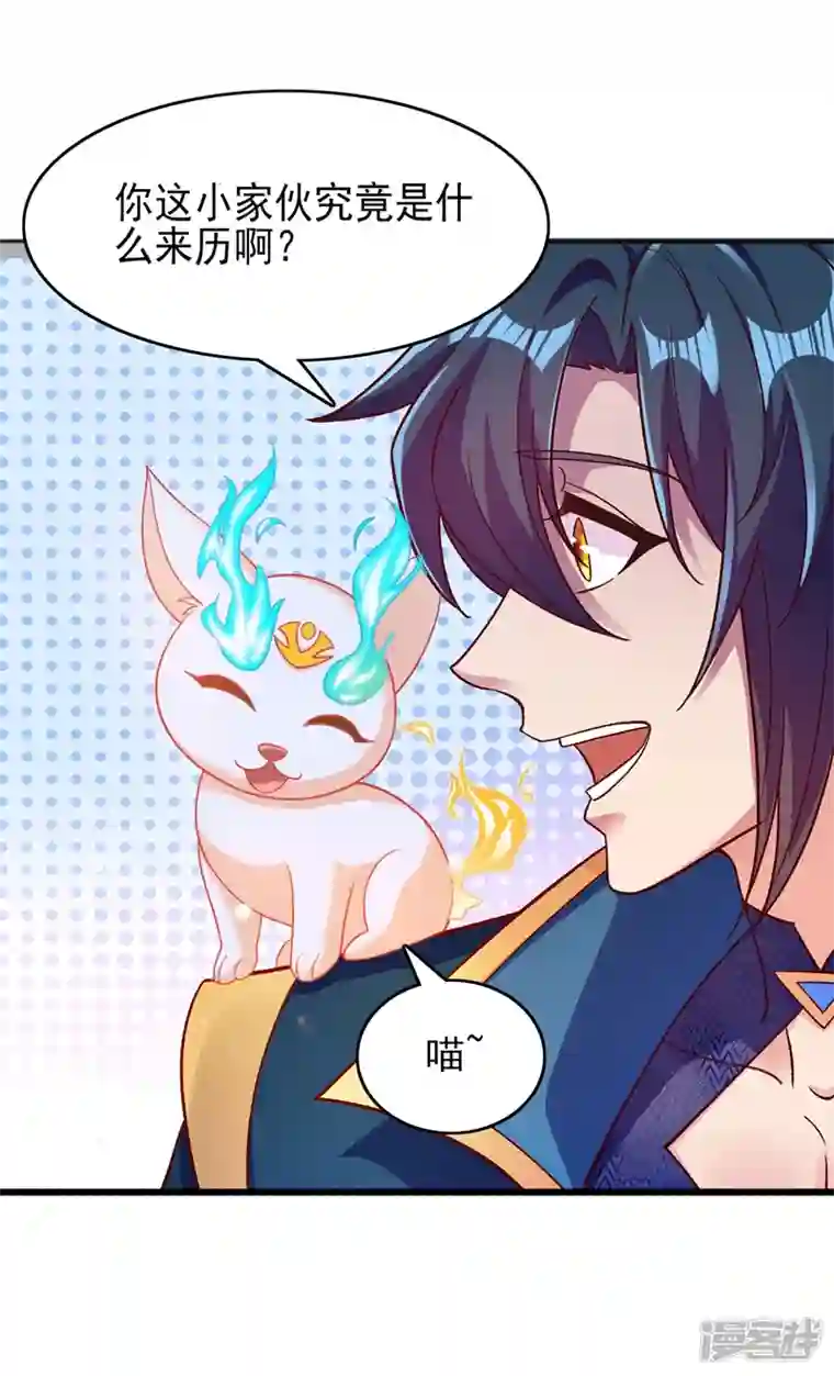 灵剑尊第422话 灵兽卵里孵出小奶猫