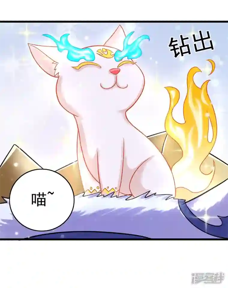 灵剑尊第422话 灵兽卵里孵出小奶猫