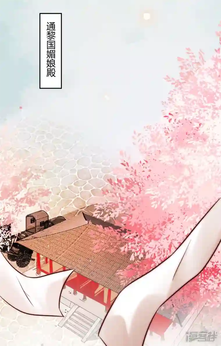 杀手王妃不好惹第118话 变故