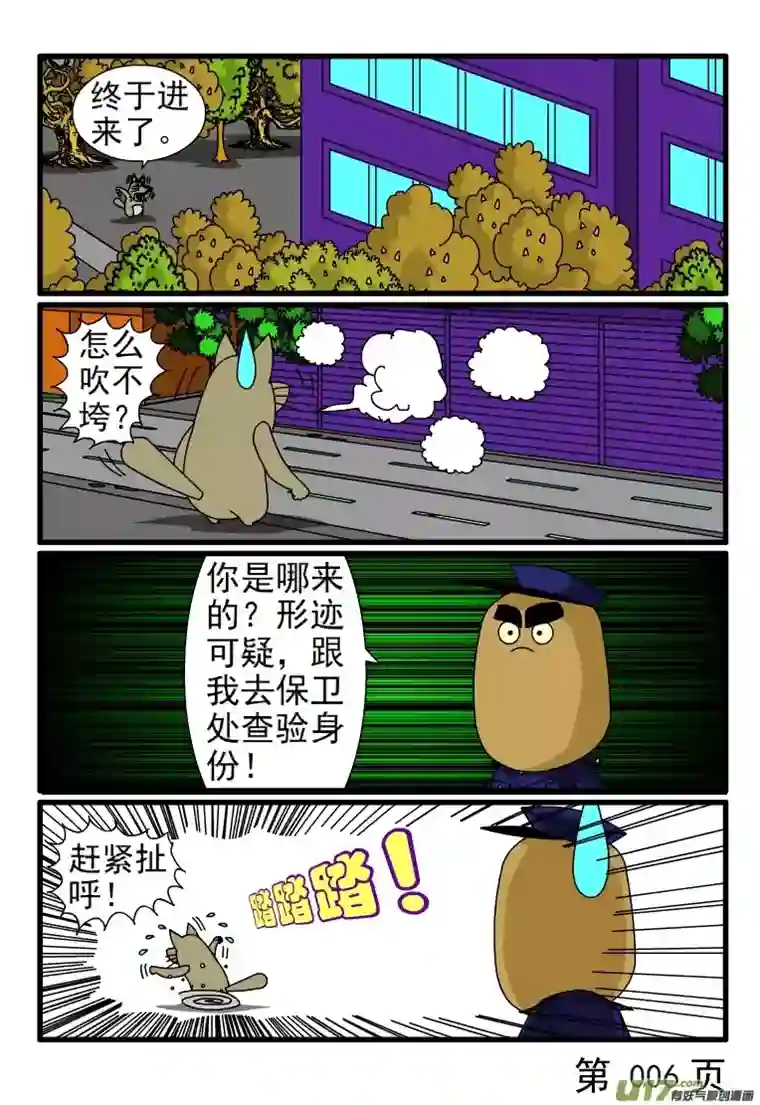 呆呆和瓜瓜三只小猪