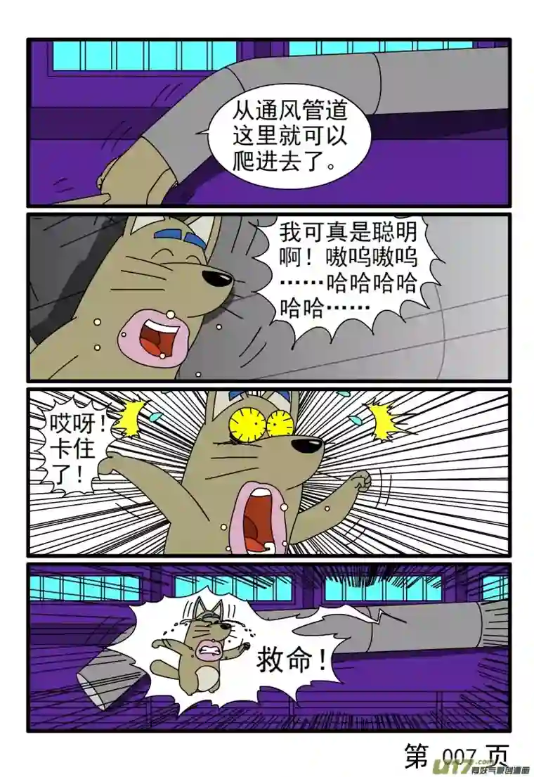 呆呆和瓜瓜三只小猪