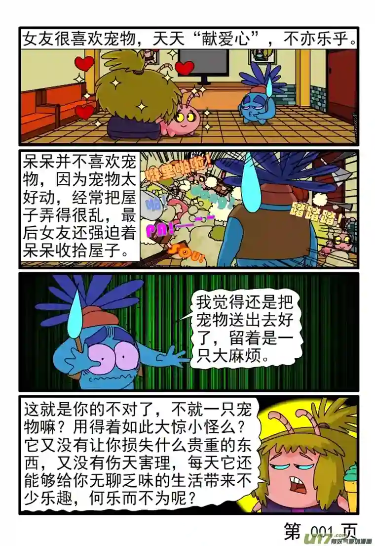 呆呆和瓜瓜宠物