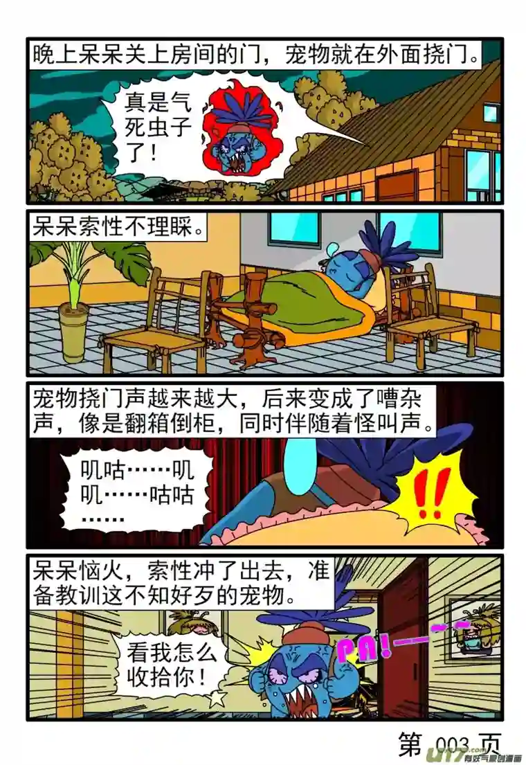 呆呆和瓜瓜宠物