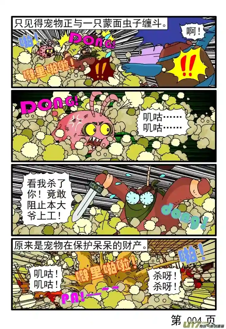 呆呆和瓜瓜宠物