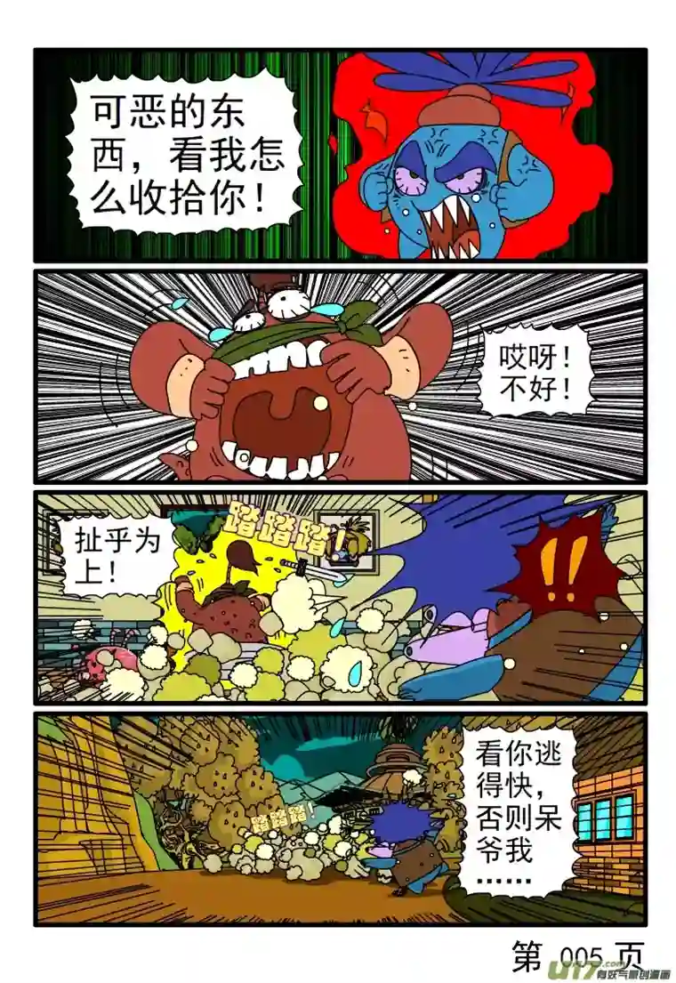 呆呆和瓜瓜宠物