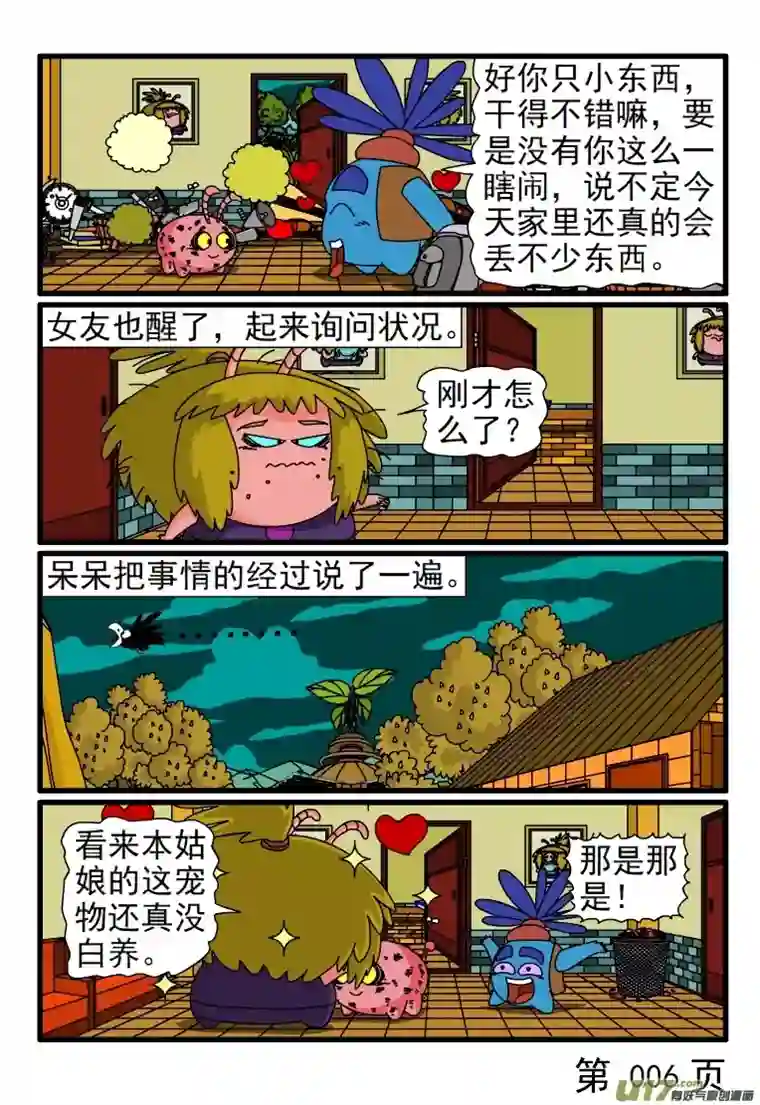 呆呆和瓜瓜宠物