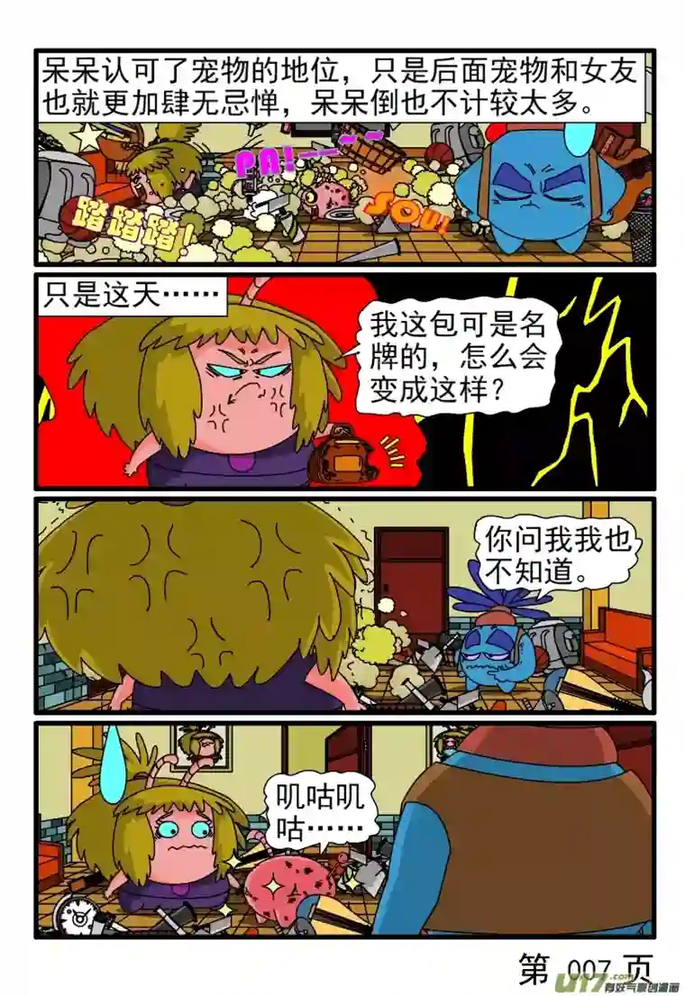 呆呆和瓜瓜宠物