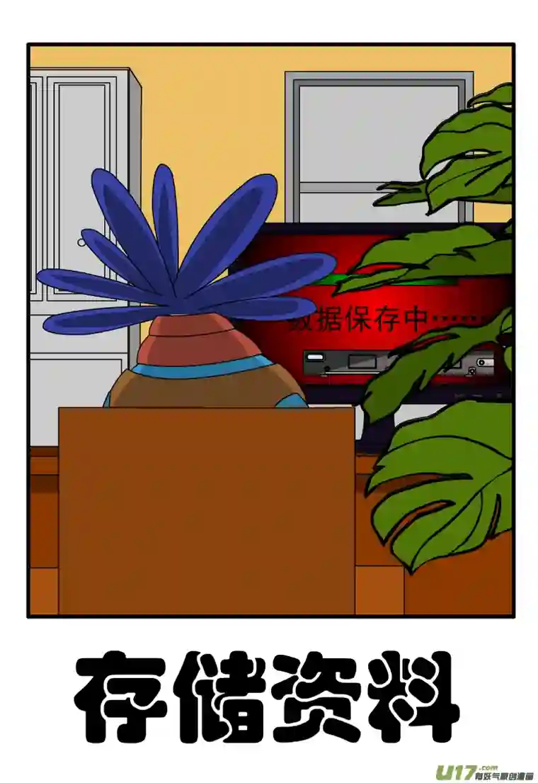 呆呆和瓜瓜存储资料