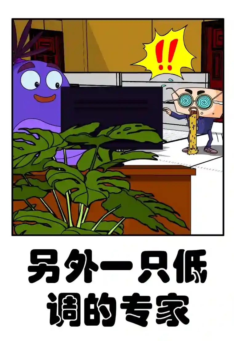 呆呆和瓜瓜另外一只低调的专家