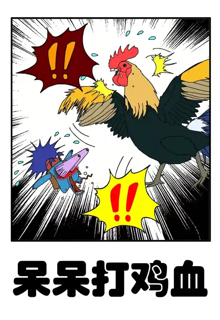 呆呆和瓜瓜呆呆打鸡血