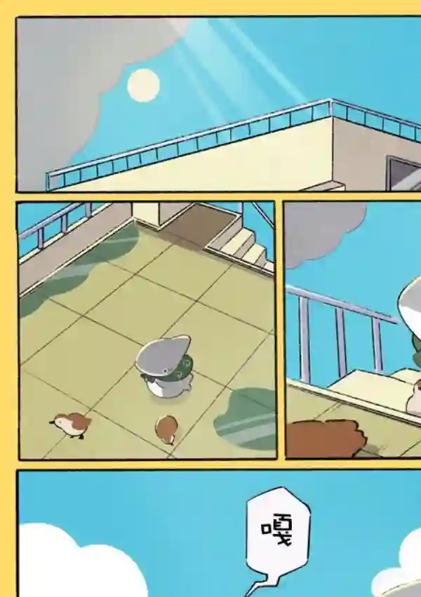 小鲨鱼去郊游第三个小合集