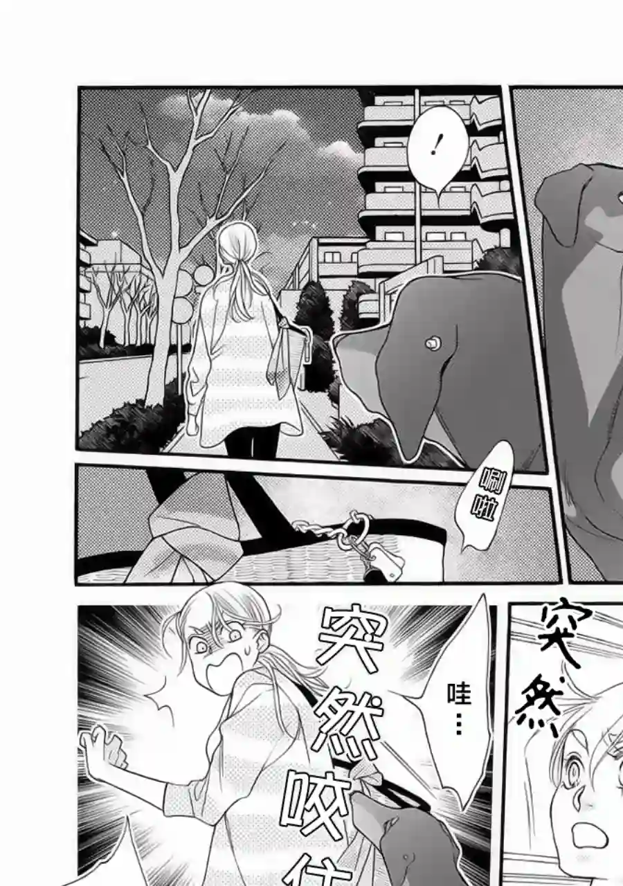 恋上月犬男子第01话