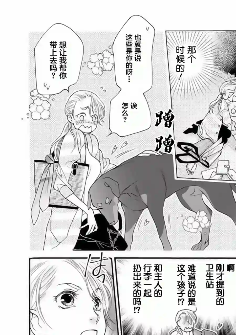 恋上月犬男子第01话