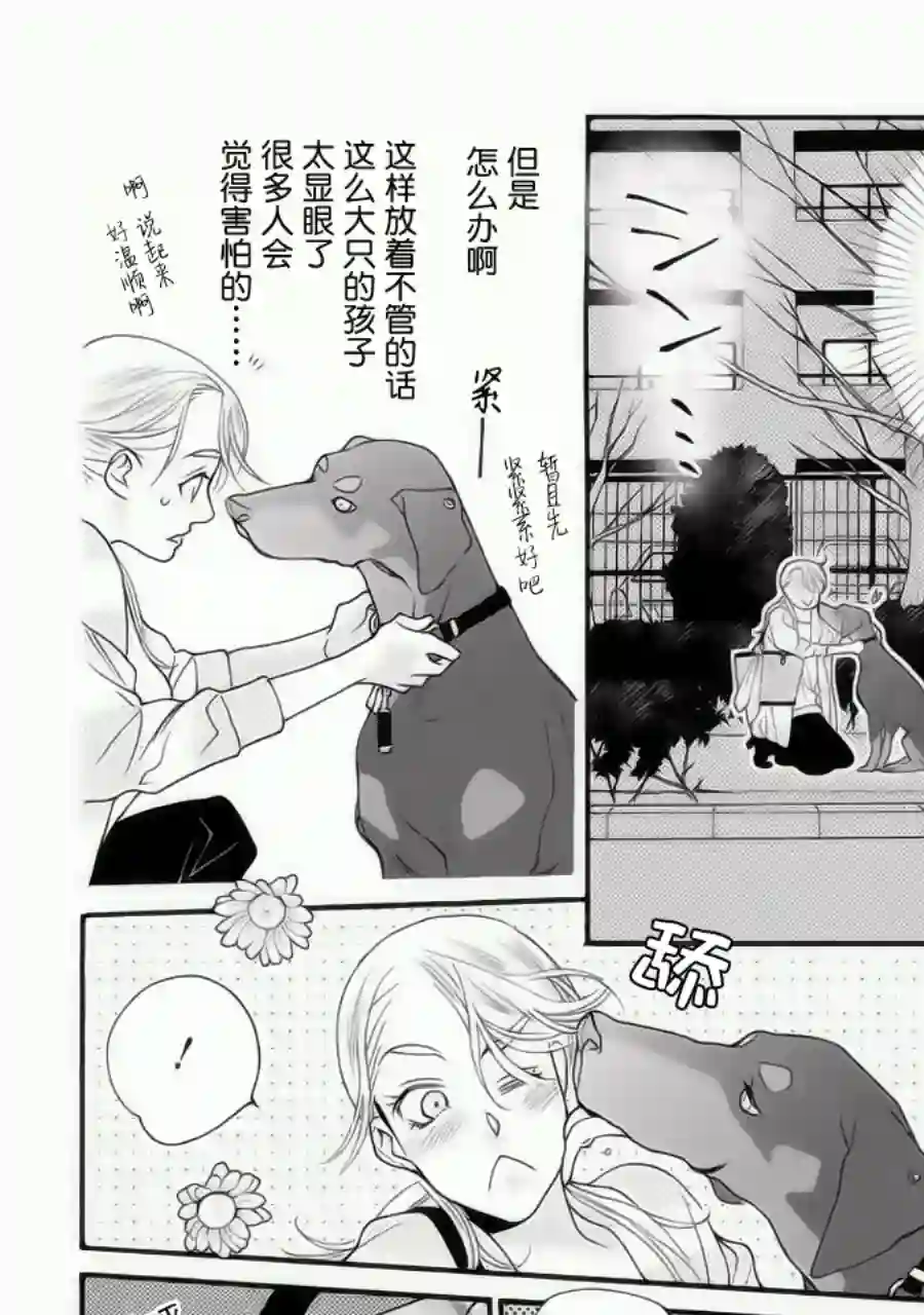 恋上月犬男子第01话