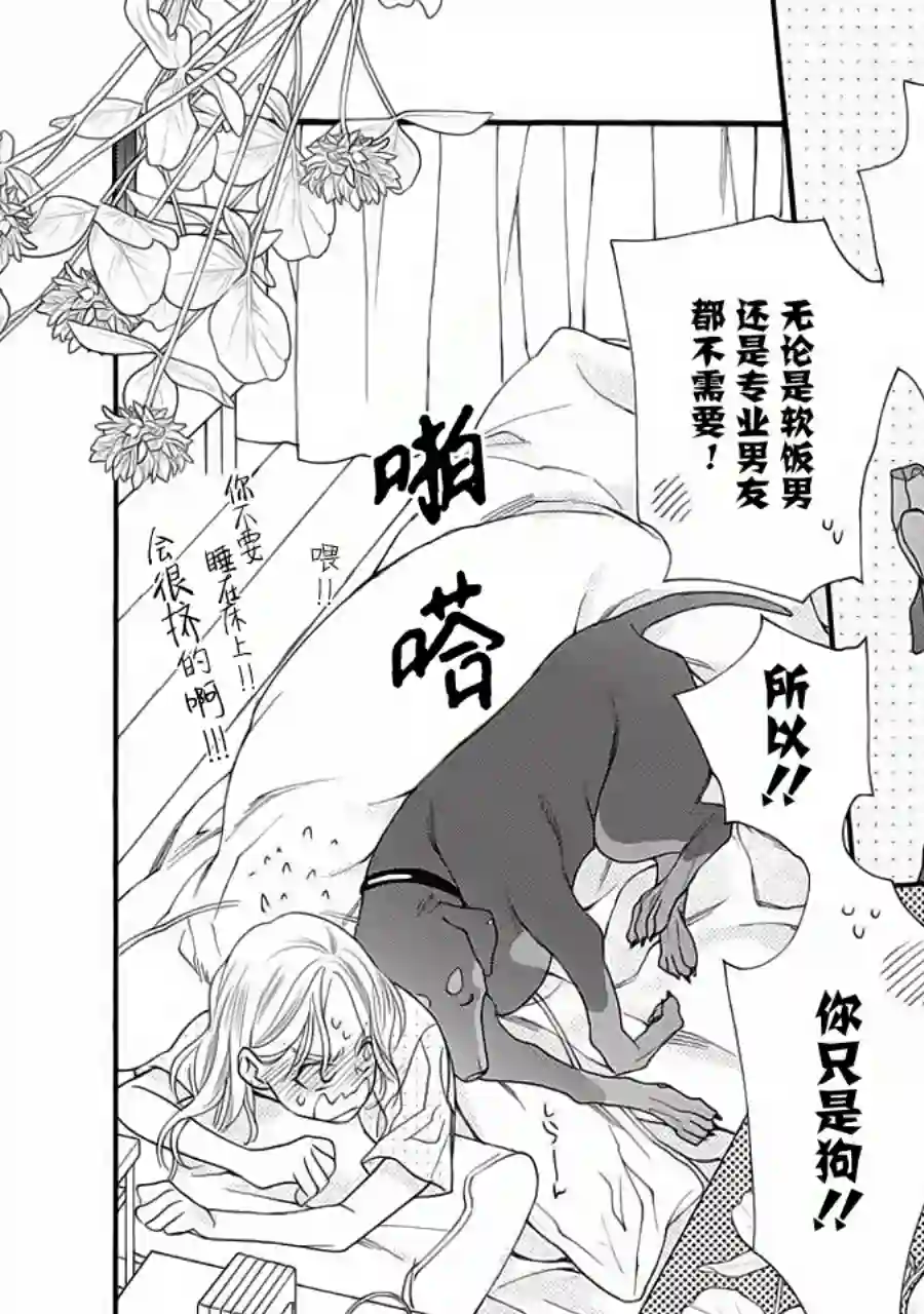 恋上月犬男子第01话