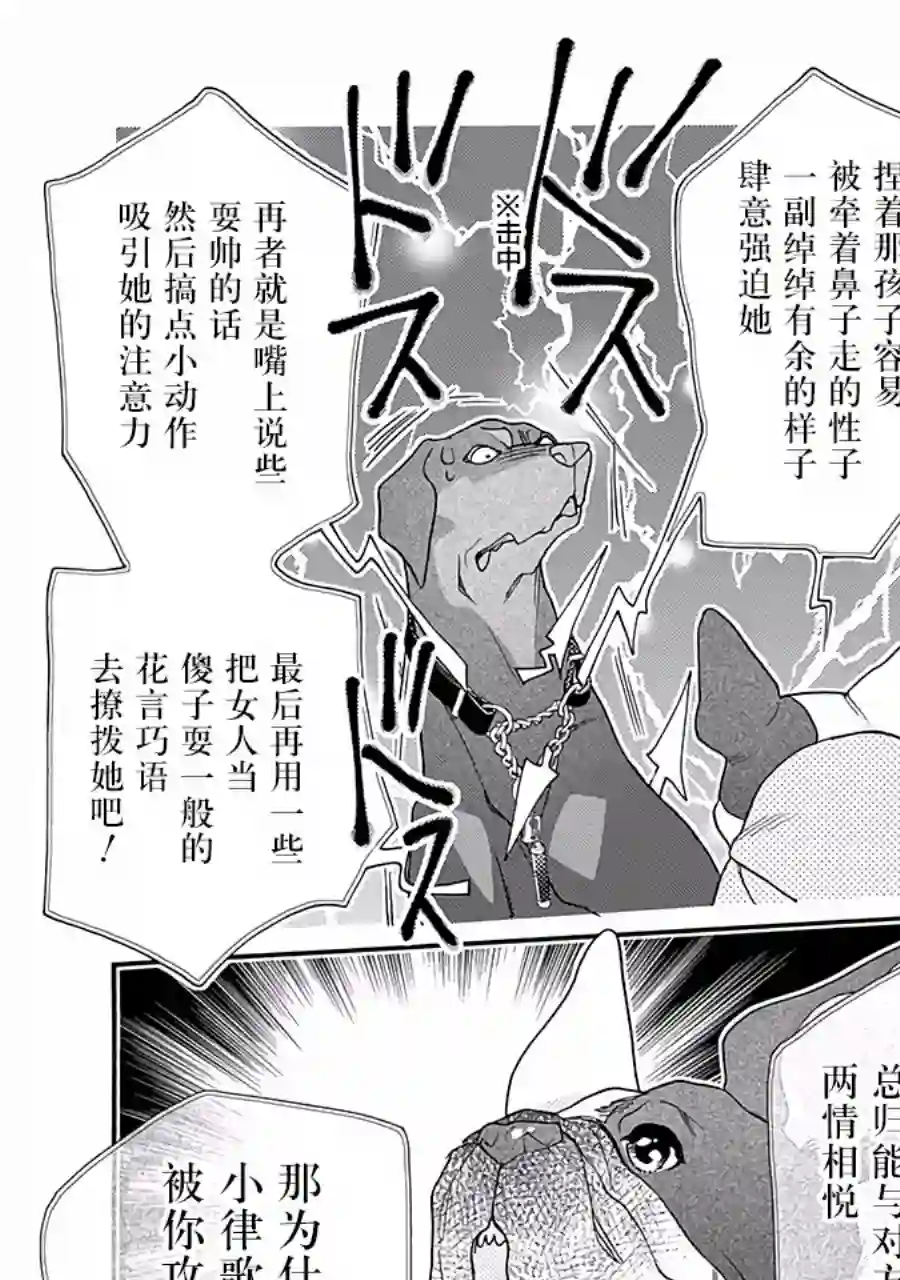 恋上月犬男子第11话