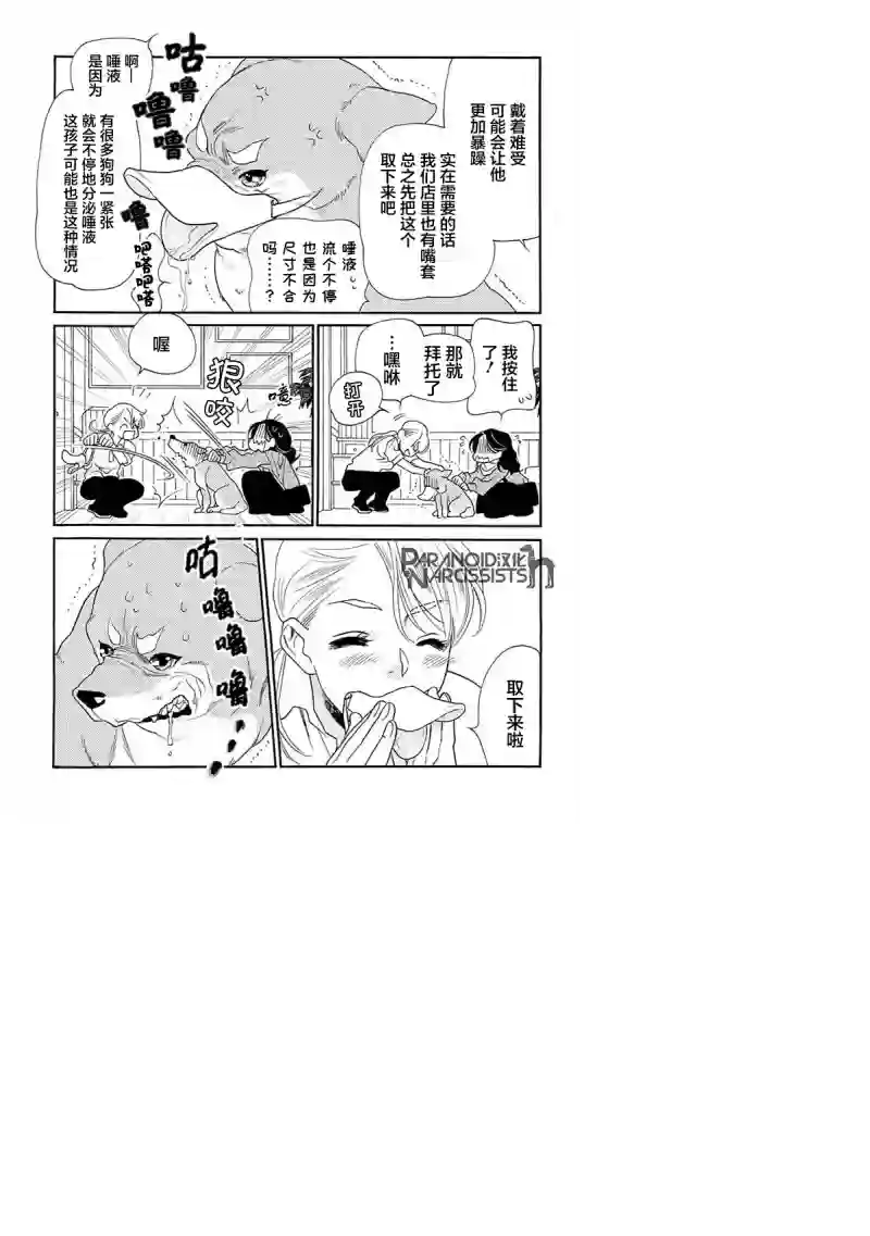 恋上月犬男子第12话