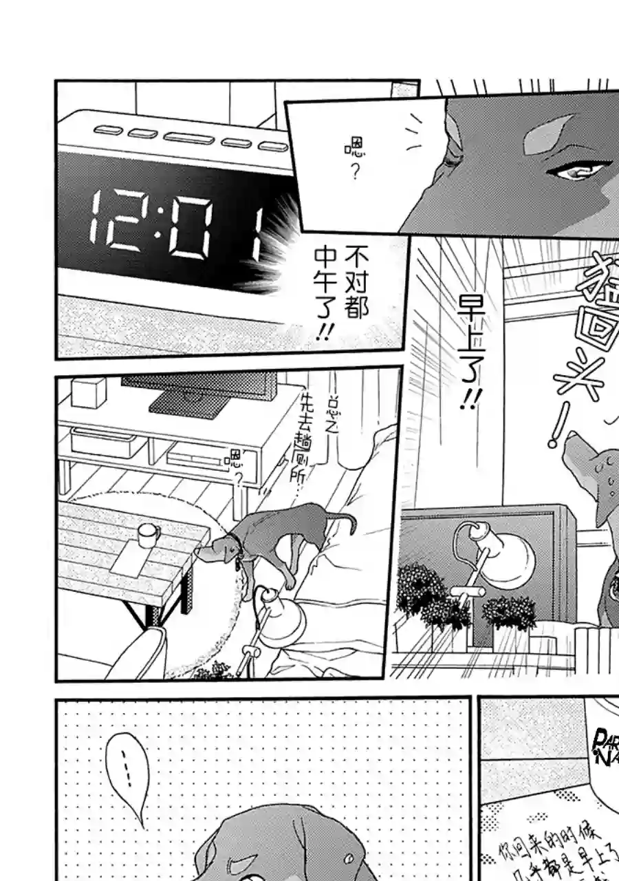 恋上月犬男子第13话