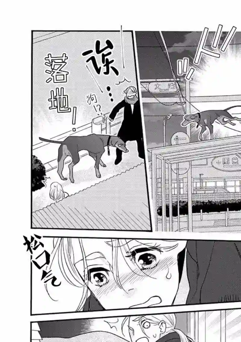 恋上月犬男子第16话