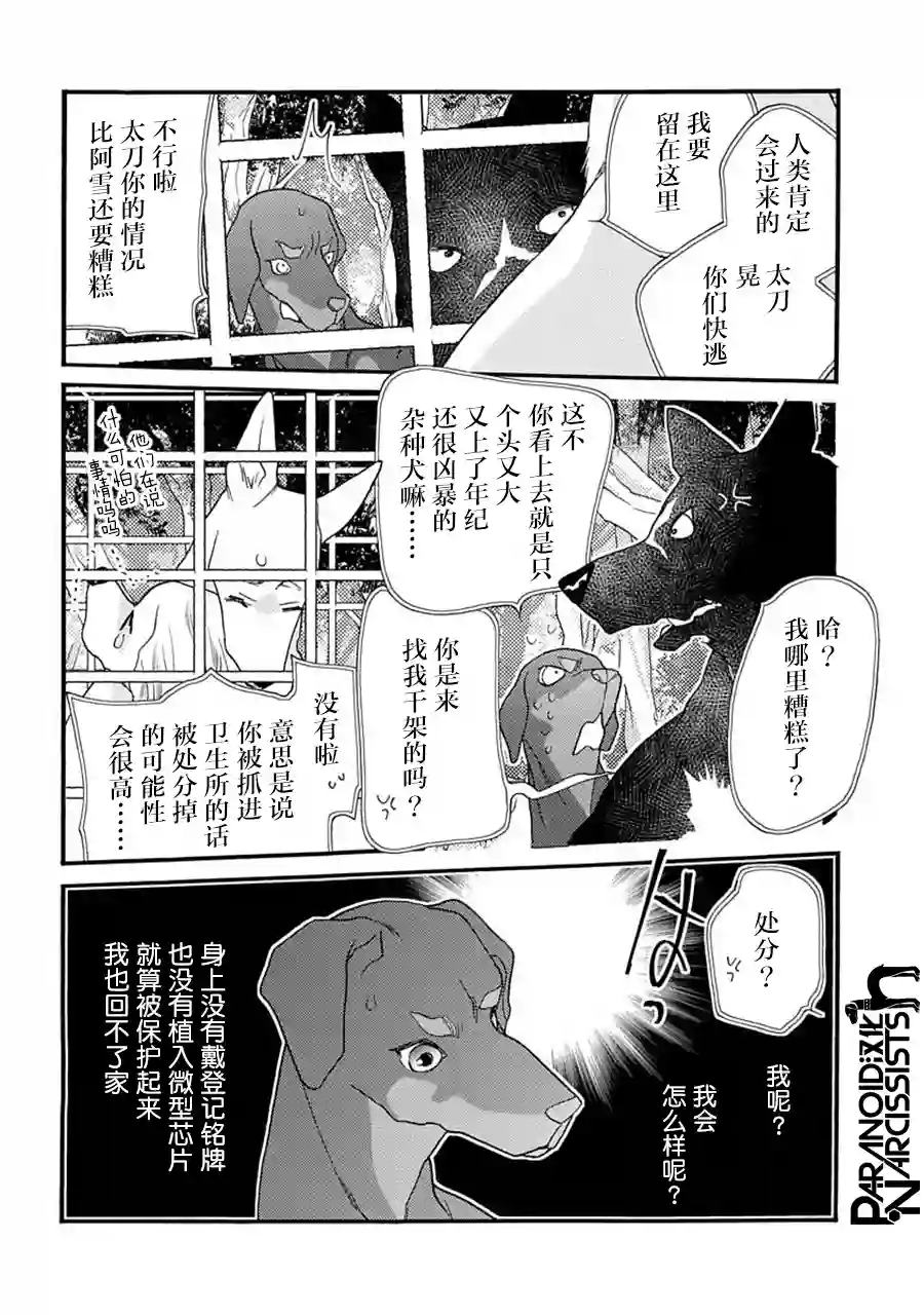 恋上月犬男子第21话