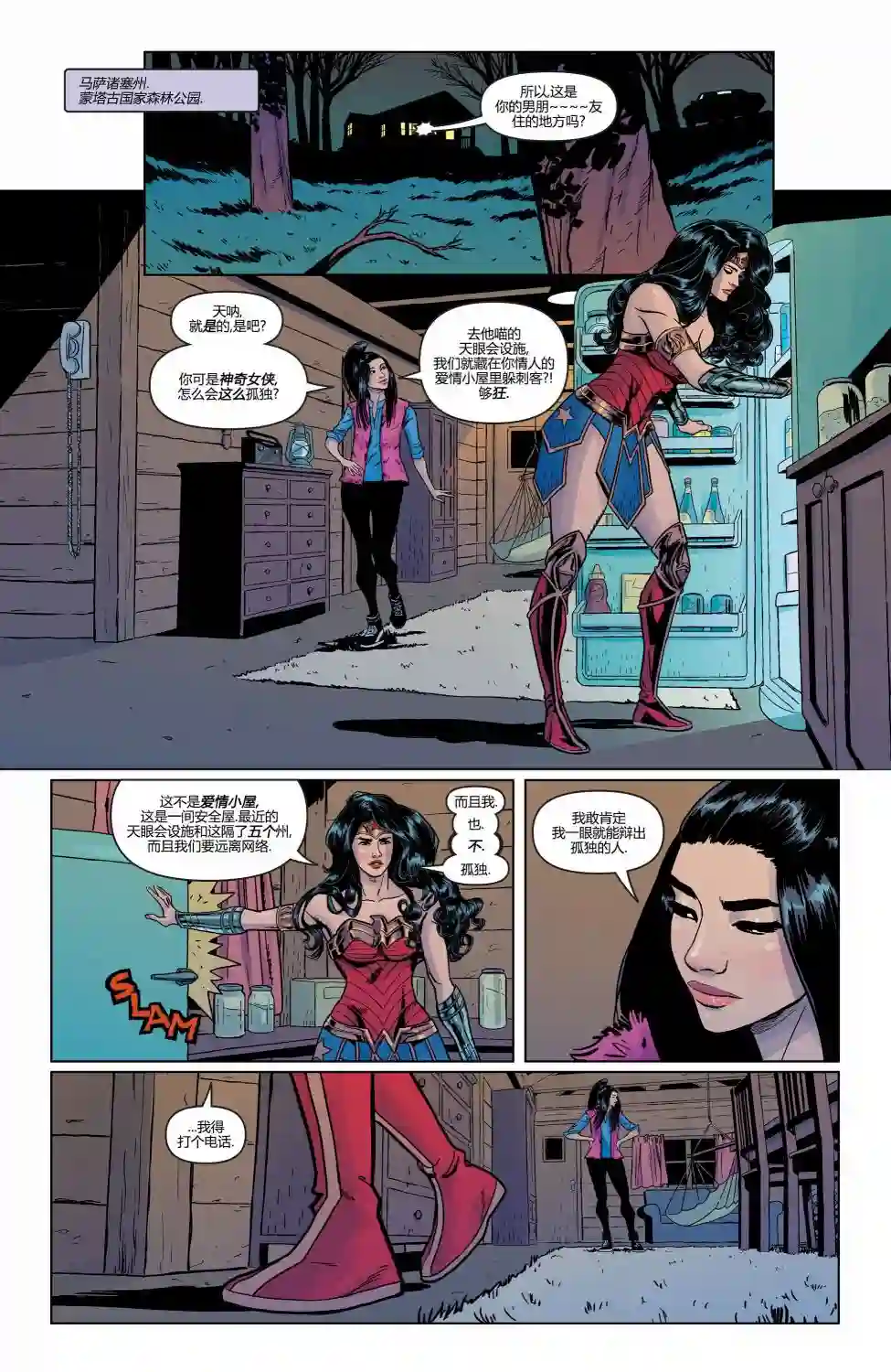 神奇女侠：和平特使第17卷