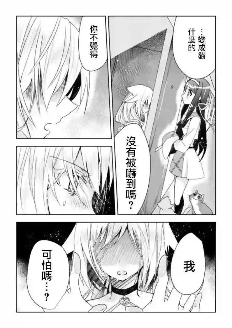 猫娘症候群第01话