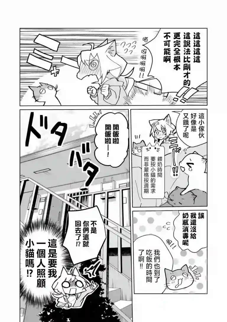猫娘症候群第71话