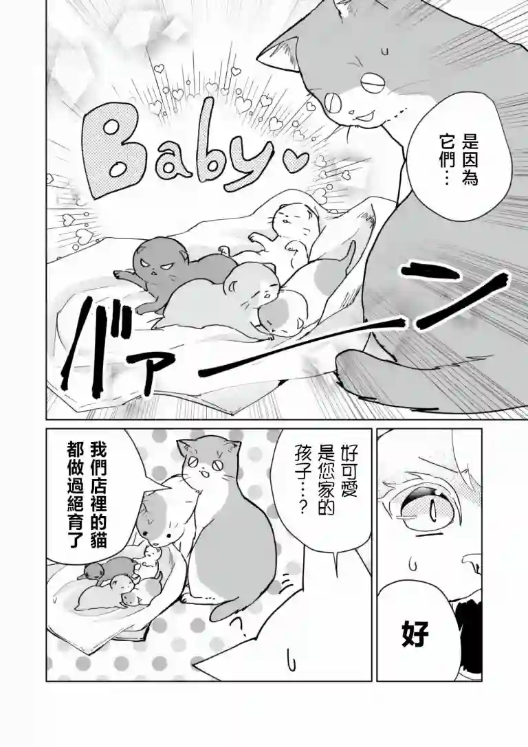 猫娘症候群第71话
