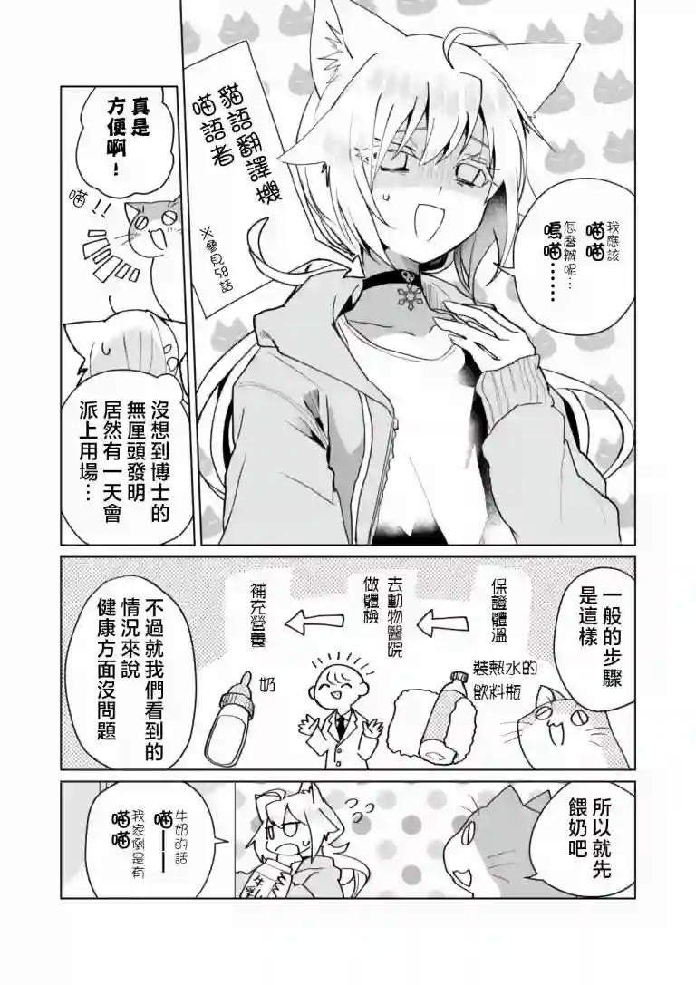 猫娘症候群第71话