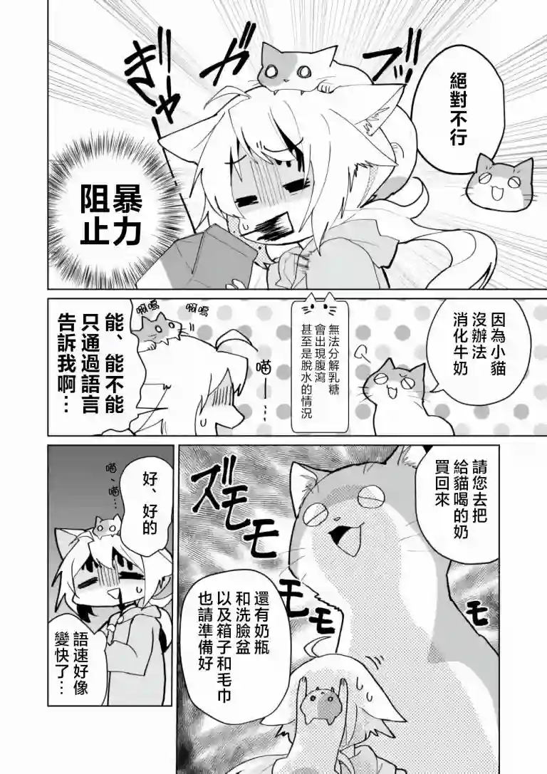 猫娘症候群第71话