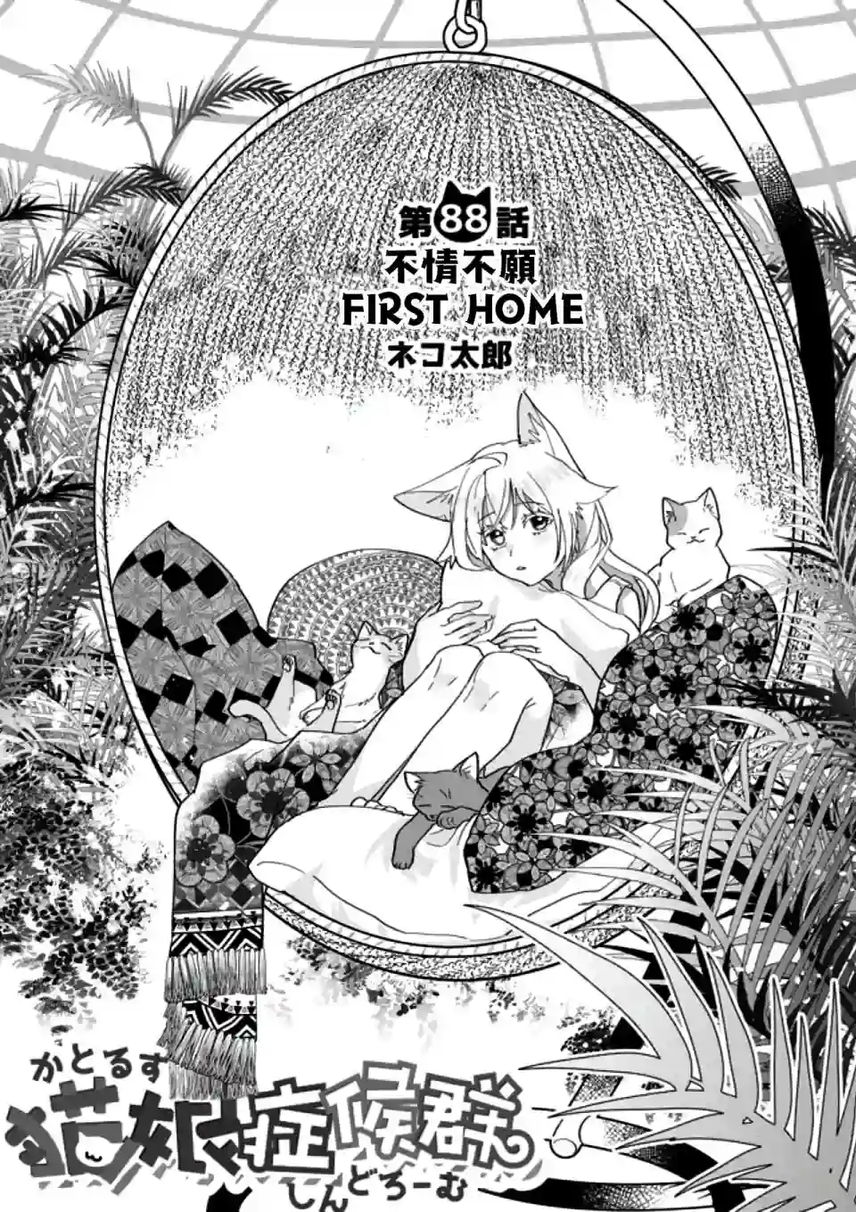 猫娘症候群第88话