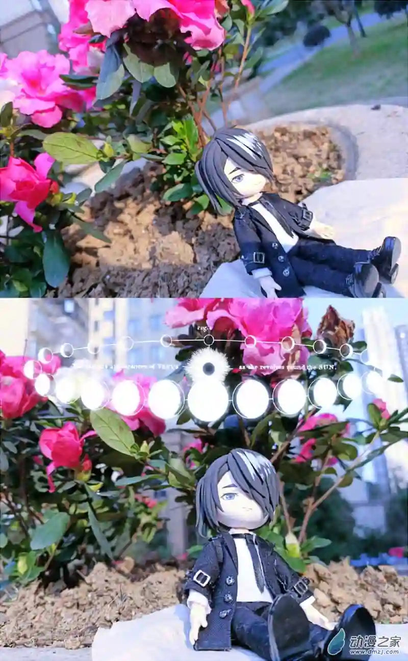 我愿为你献上黎明06 意料之外