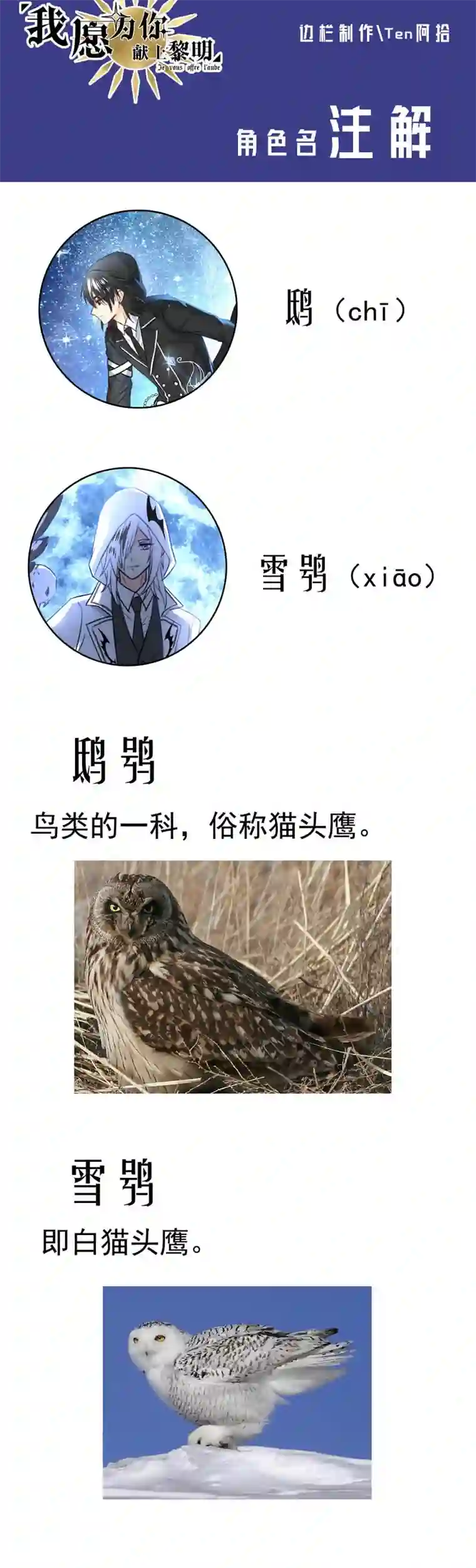 我愿为你献上黎明夜的角落（三）