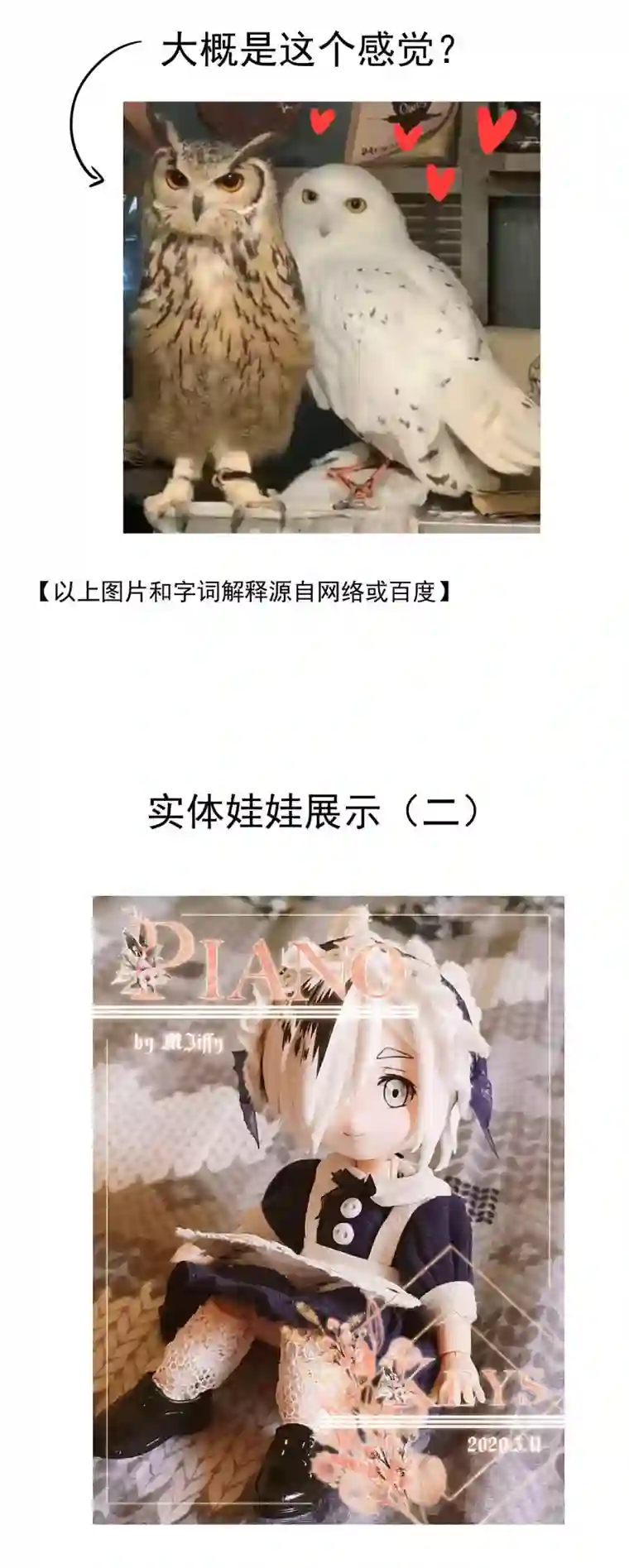 我愿为你献上黎明夜的角落（三）