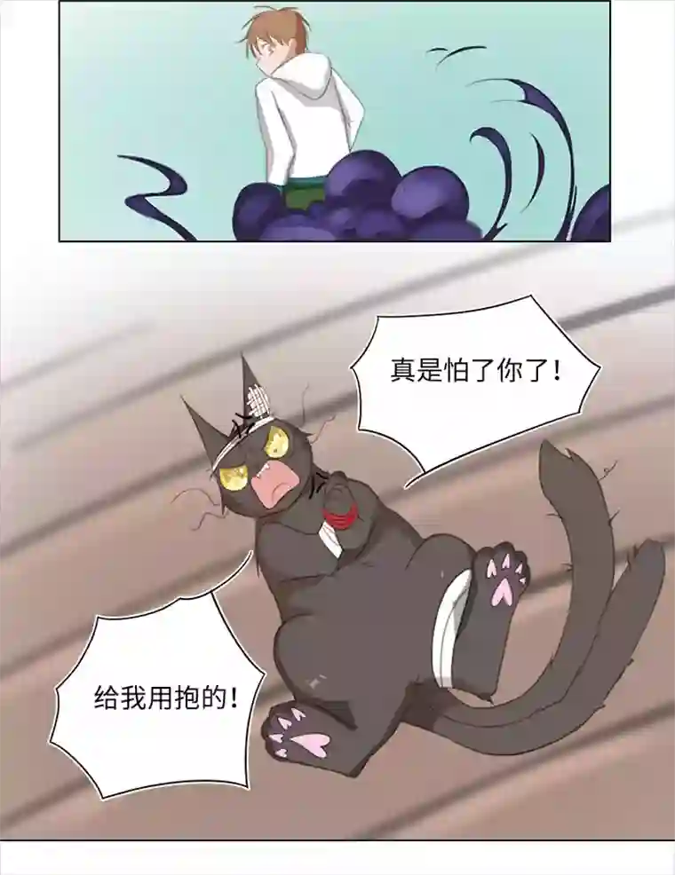 妖怪镖局押送中20 奇妙的邀请