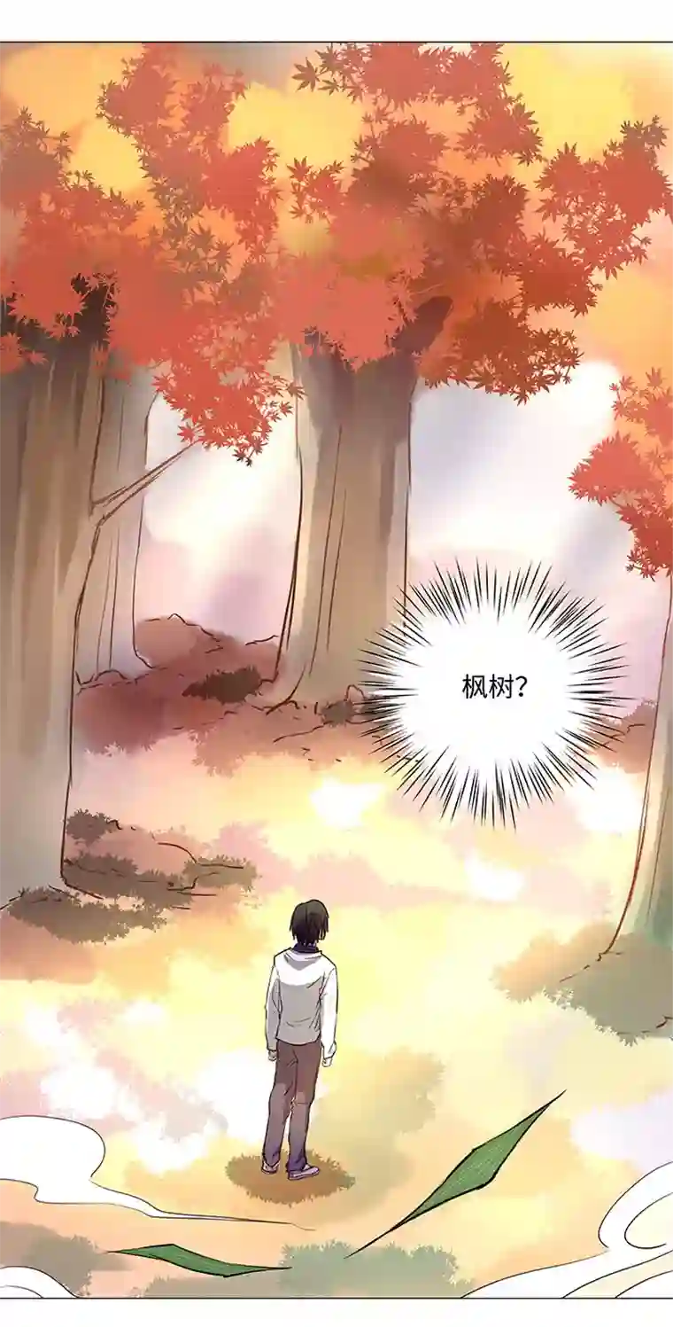 妖怪镖局押送中33 幻境之中