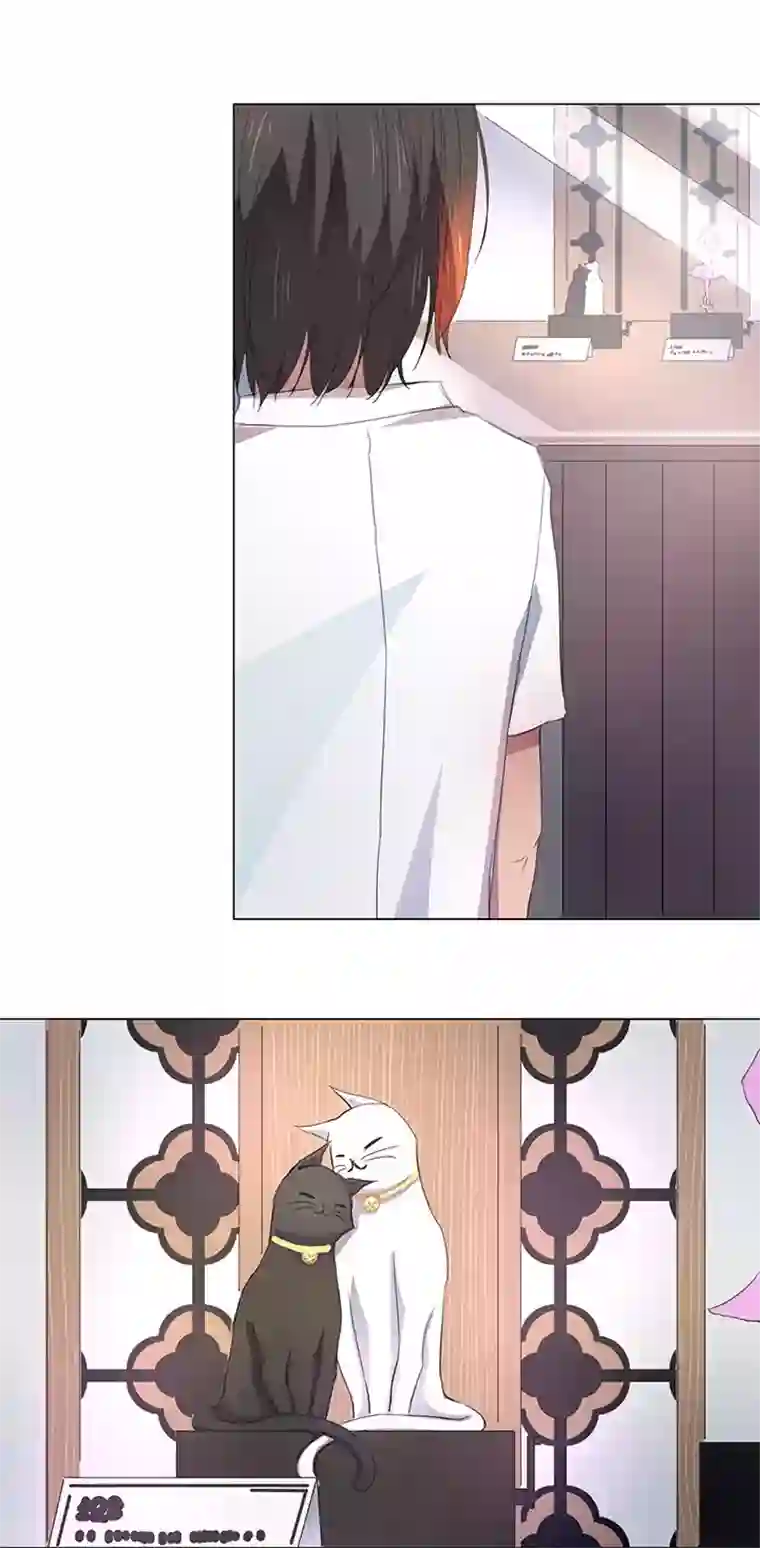 妖怪镖局押送中55 偶遇