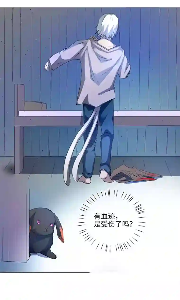 妖怪镖局押送中57 黑猫传说.二