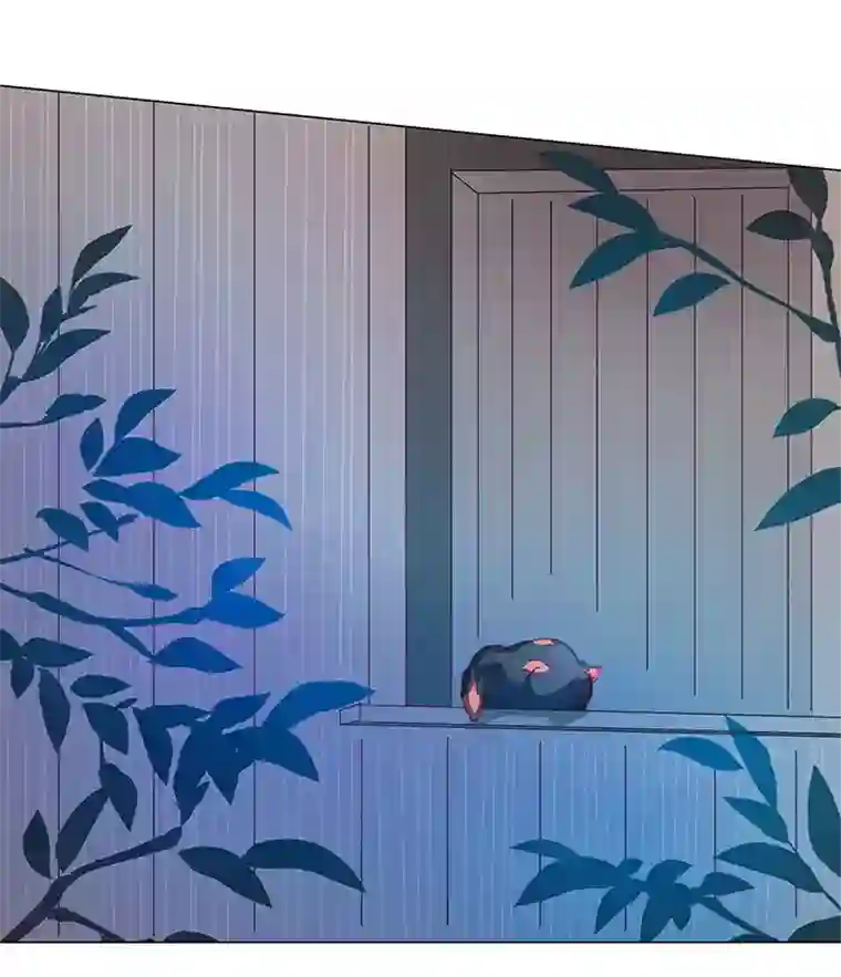 妖怪镖局押送中57 黑猫传说.二