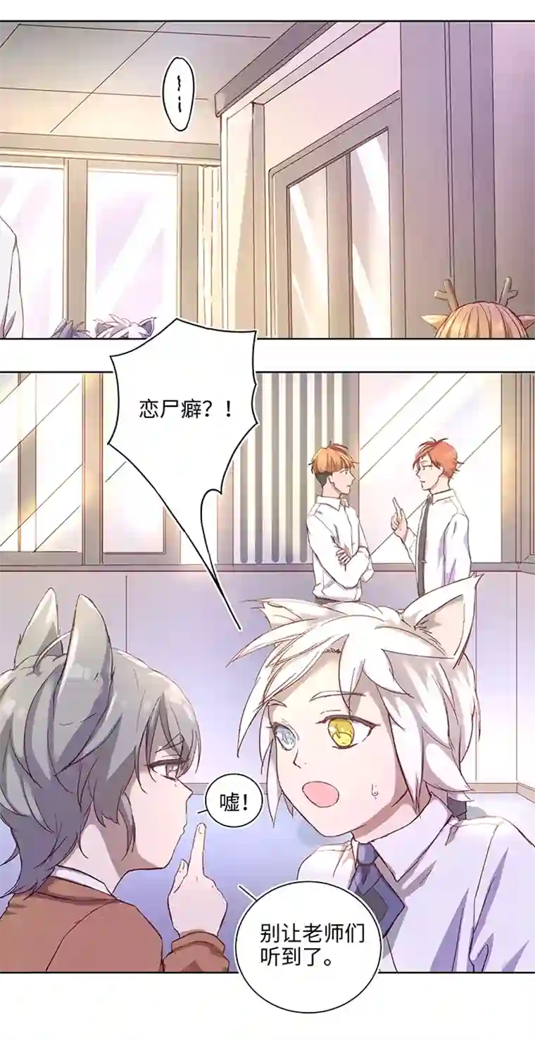 妖怪镖局押送中番外③ 泠珝与异色瞳狮子猫（上）