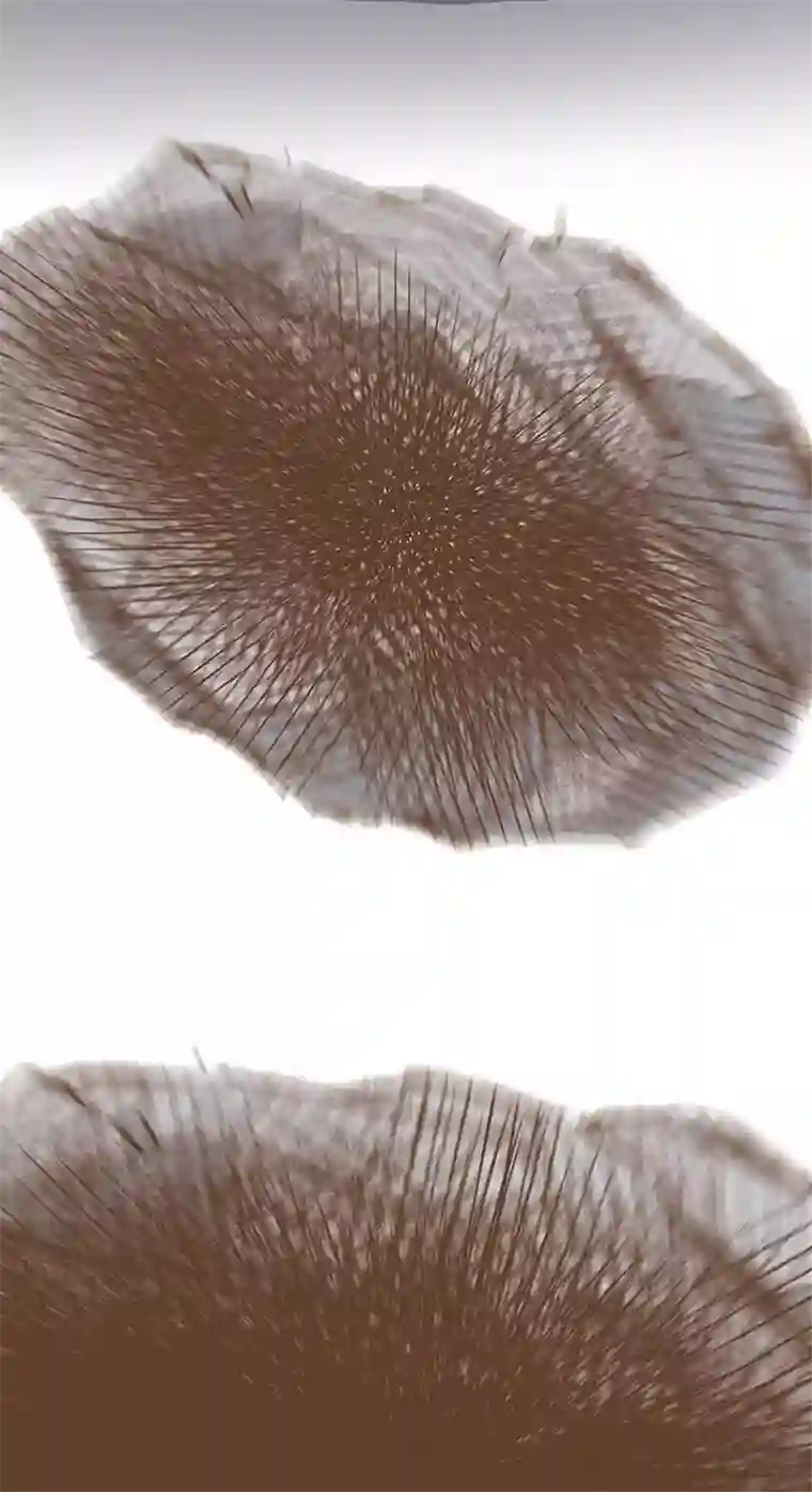 神之一脚第三十九波 死神