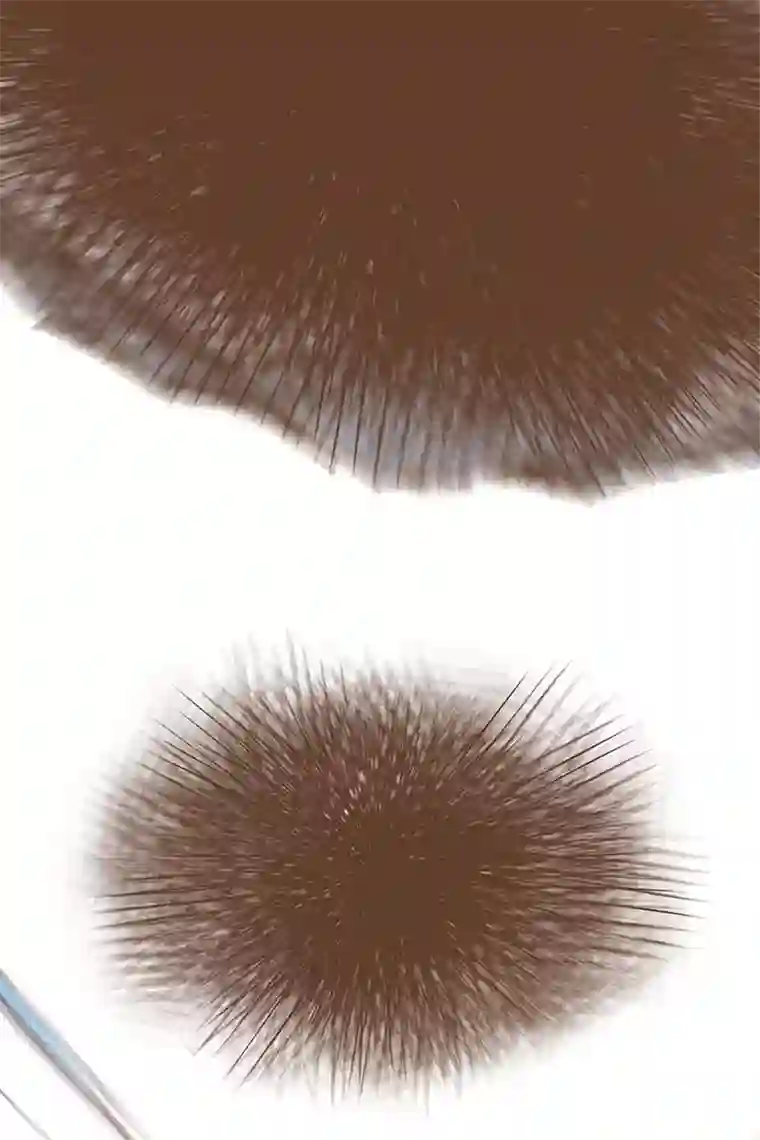 神之一脚第三十九波 死神