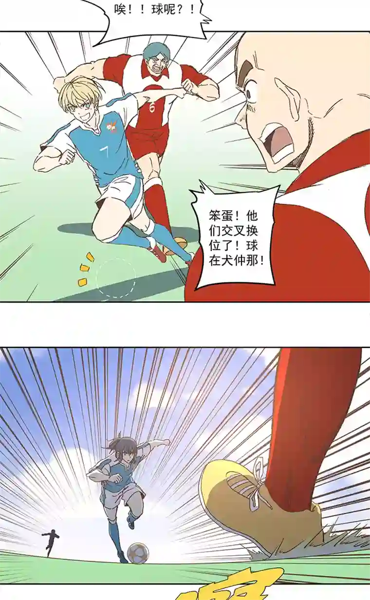 神之一脚第七十七波 蛋白粉