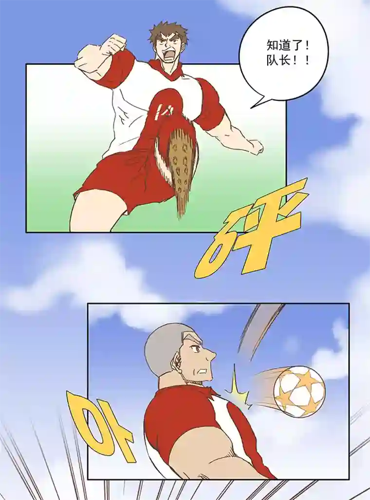 神之一脚第七十七波 蛋白粉