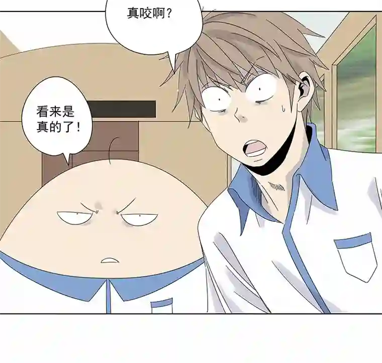 神之一脚第二百九十四波